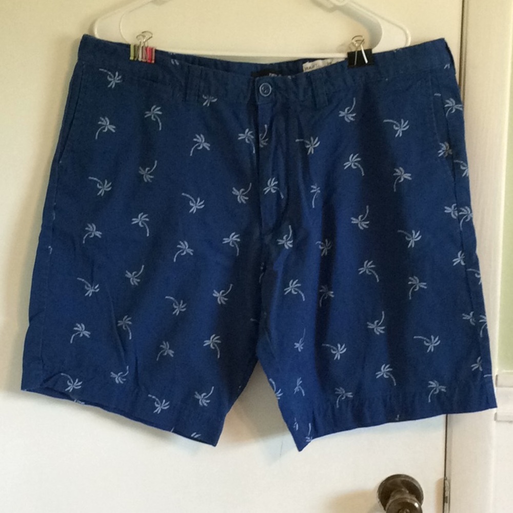 Palm Tree Print Shorts